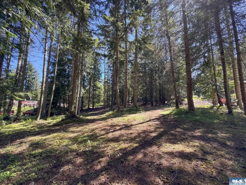 Picture 28