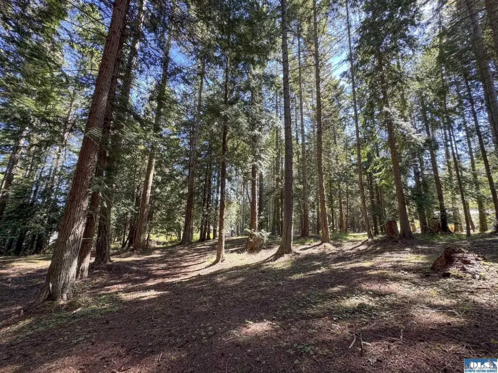 Picture 25