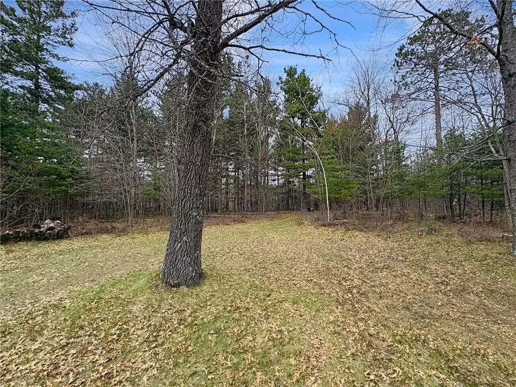 Picture 8