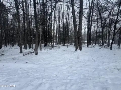 Lake Ariel Vacant Lot