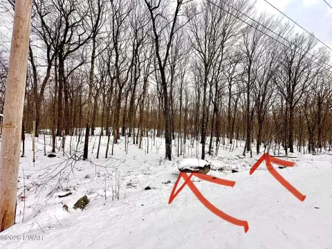 Residential Land in Bushkill, PA