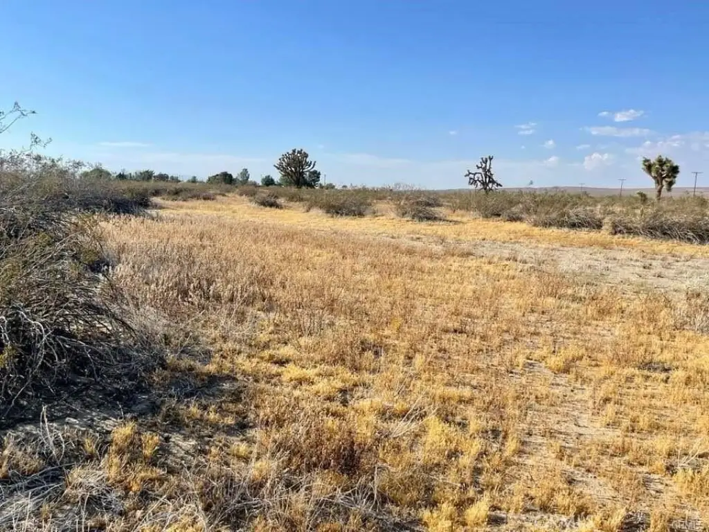 Picture 31