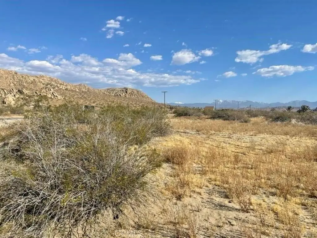 Picture 26