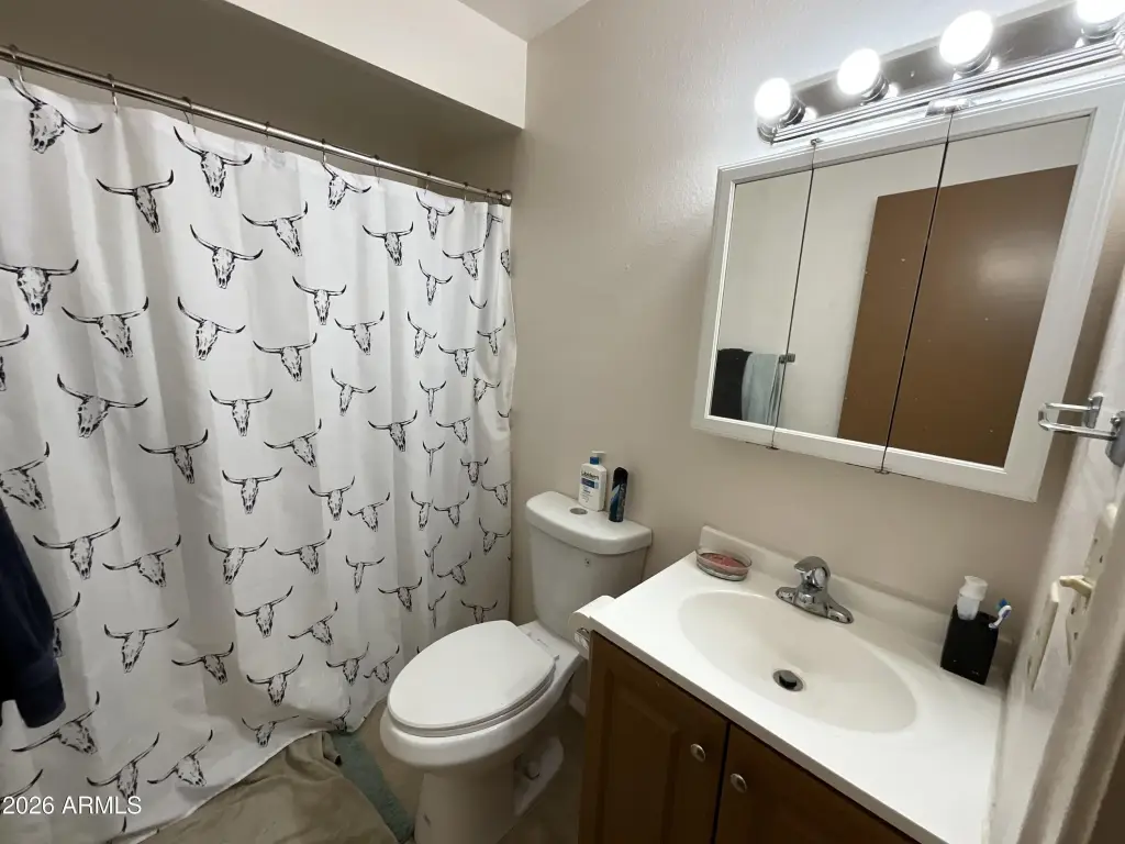Picture 21