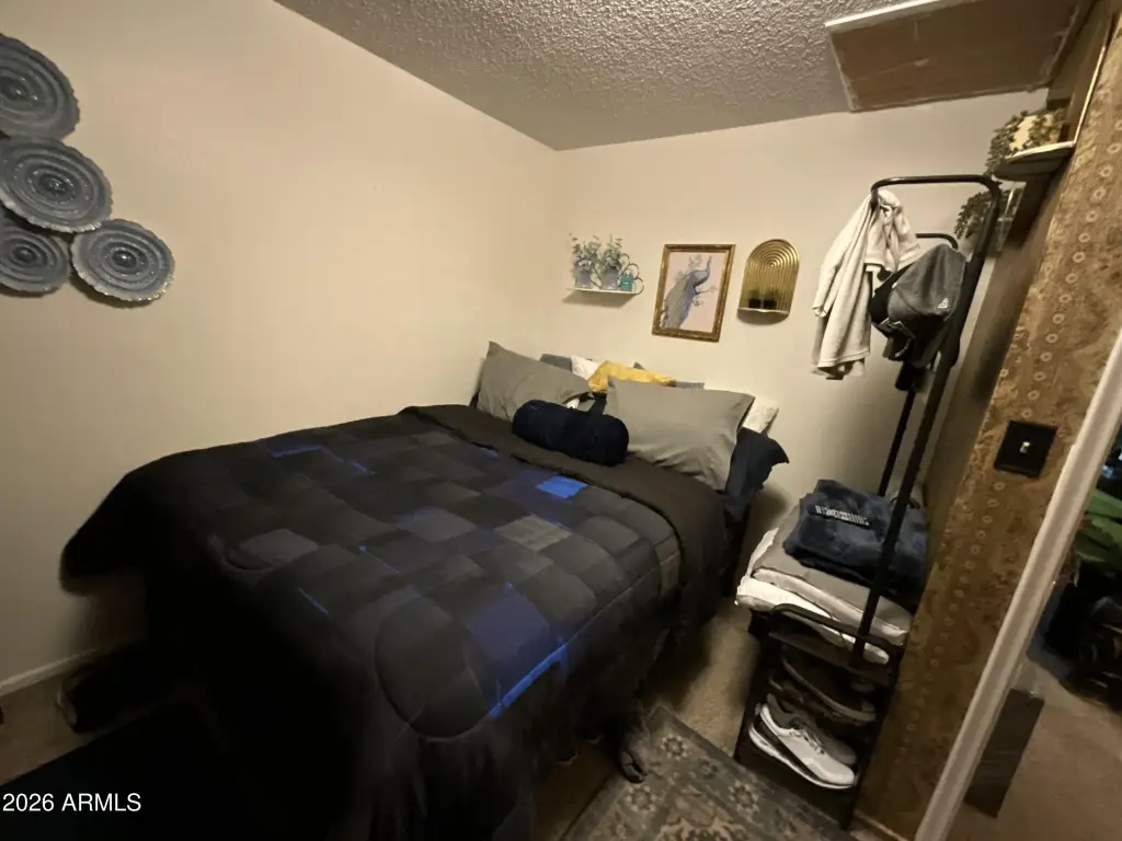 Picture 24