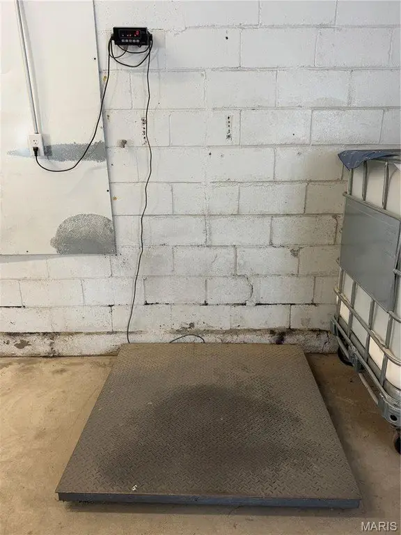 Picture 15