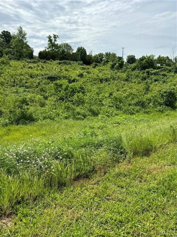 Picture 4