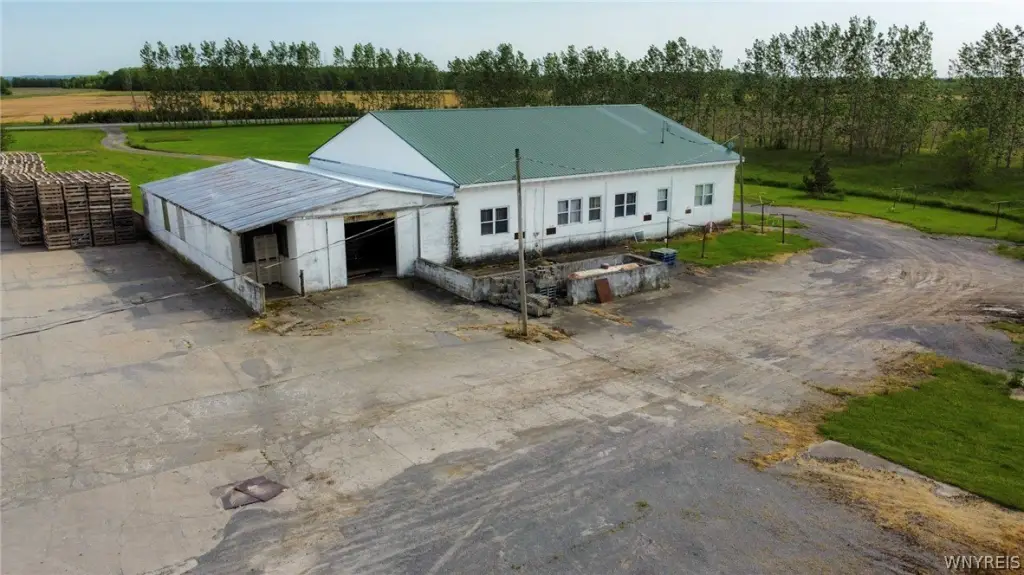 Picture 30