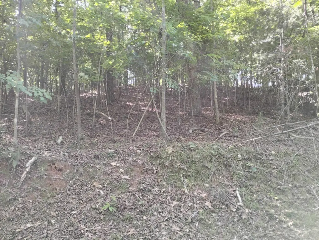 Picture 9