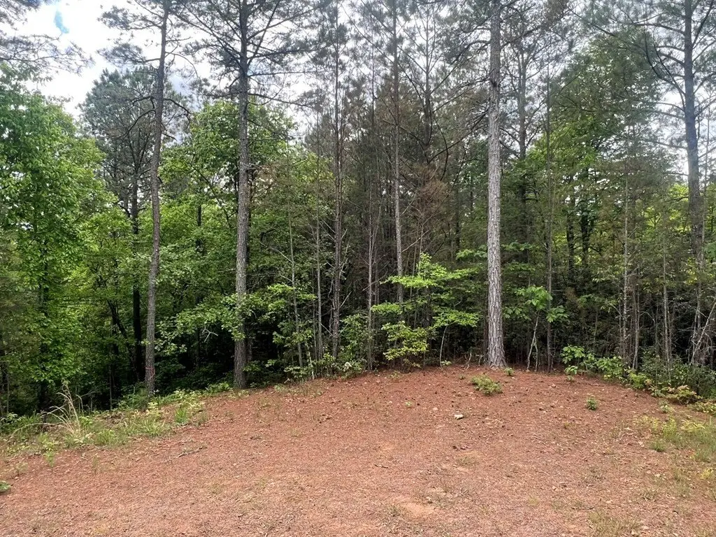 Picture 7