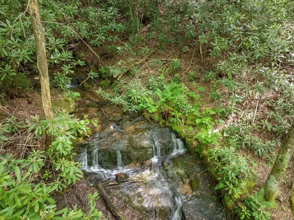 Picture 22