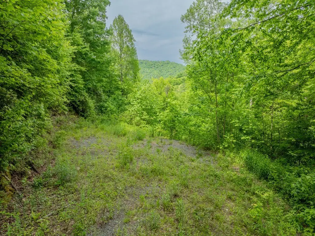 Picture 20