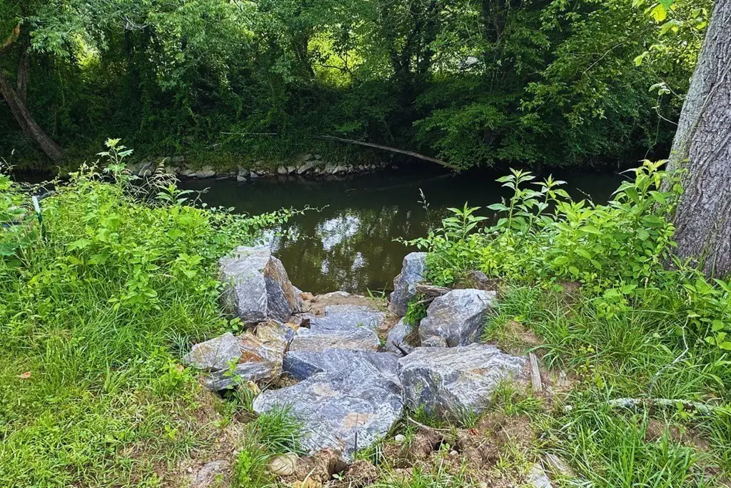 Picture 9