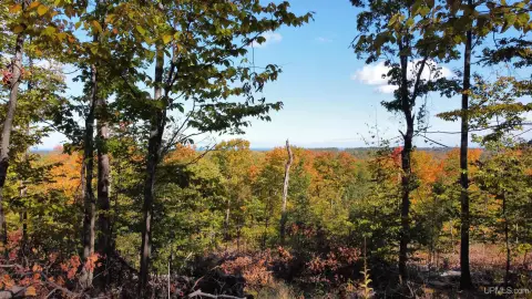 Negaunee Vacant Land with Views