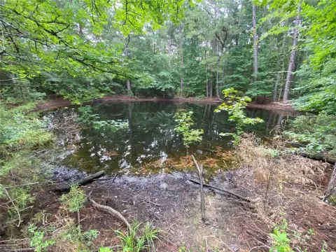 Heavily Wooded Land in De Berry