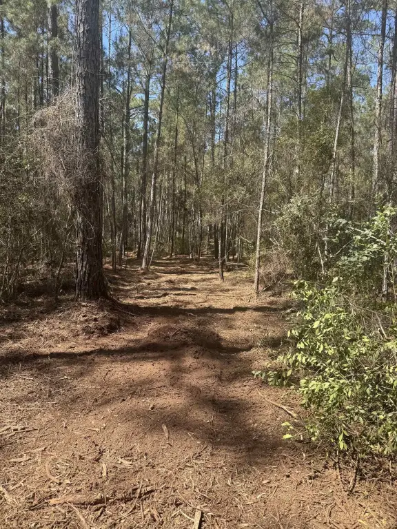 Picture 19