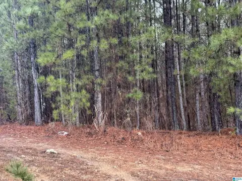 Residential Lot in Vincent, AL