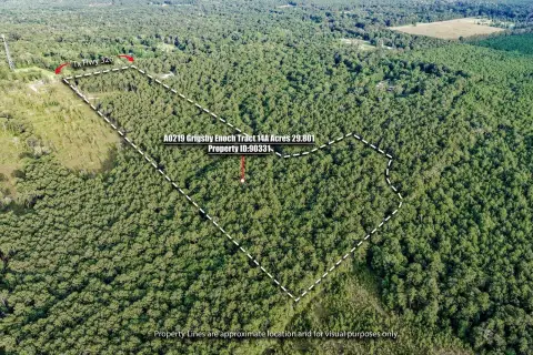 29.8 Acres in Sour Lake