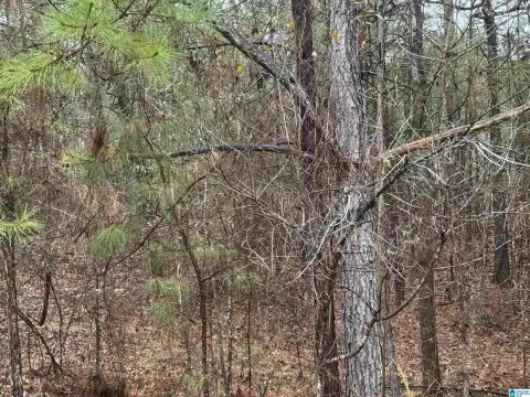 Residential Lot in Vincent, AL