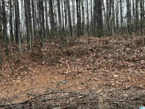 Vacant Lot in Vincent, AL