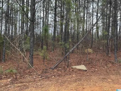 Residential Lot in Vincent, AL