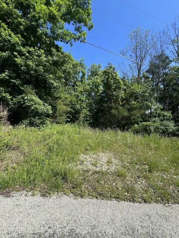 Picture 10