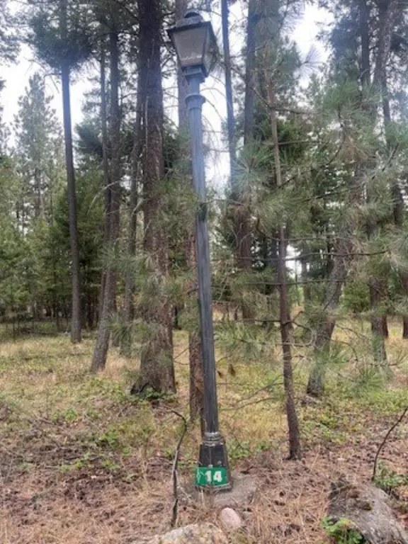 Picture 5