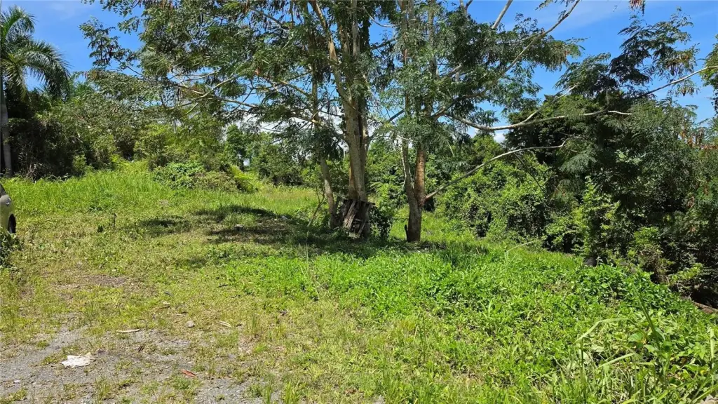 Picture 5