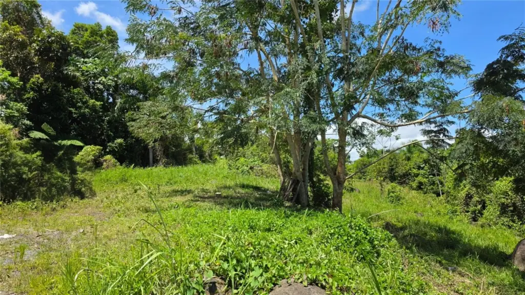 Picture 7