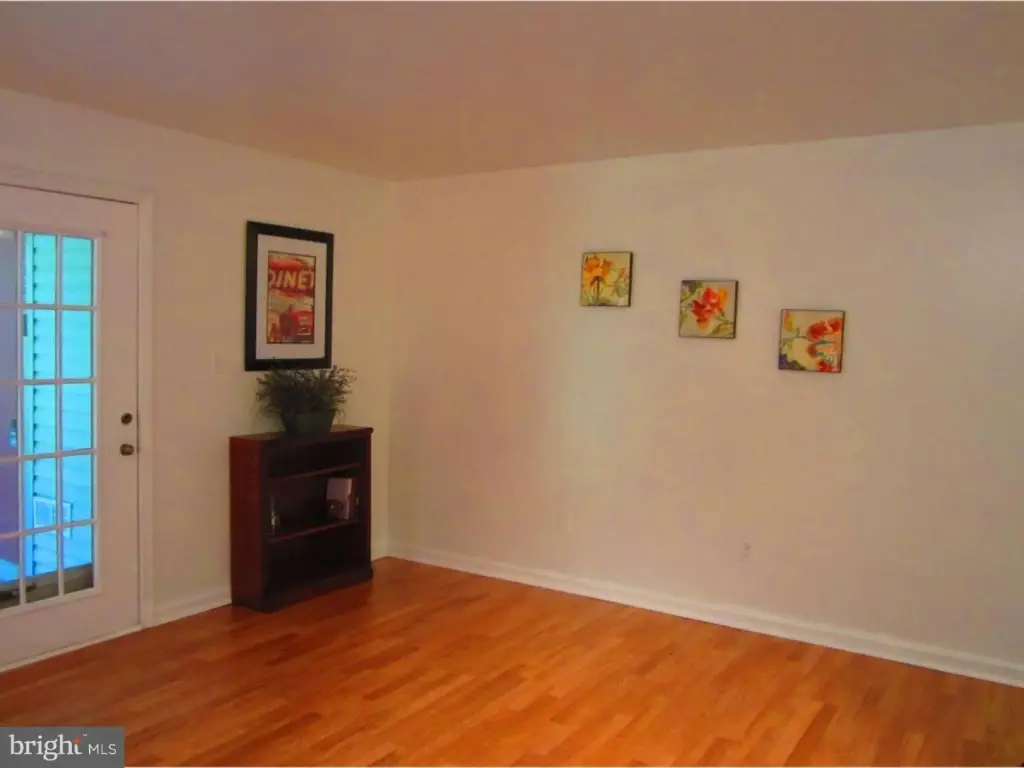 Picture 8
