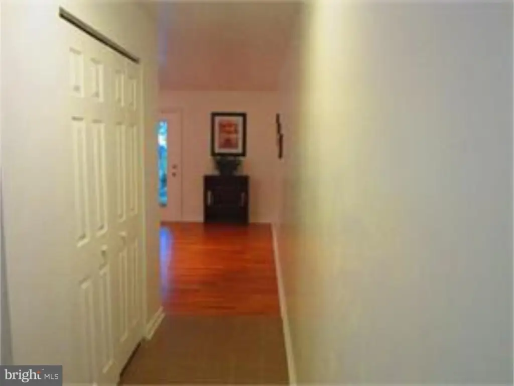 Picture 7