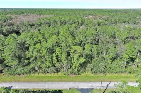 Naples Vacant Lot Opportunity