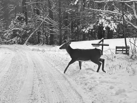 Vacant Land Near Lake Wallenpaupack