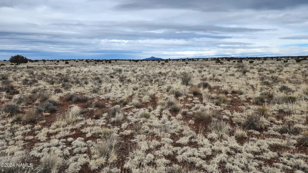 Picture 14