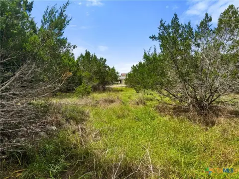 Treed Residential Land Lot