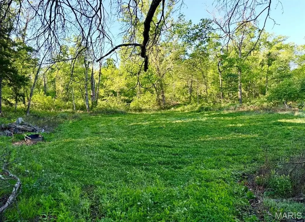 Picture 16
