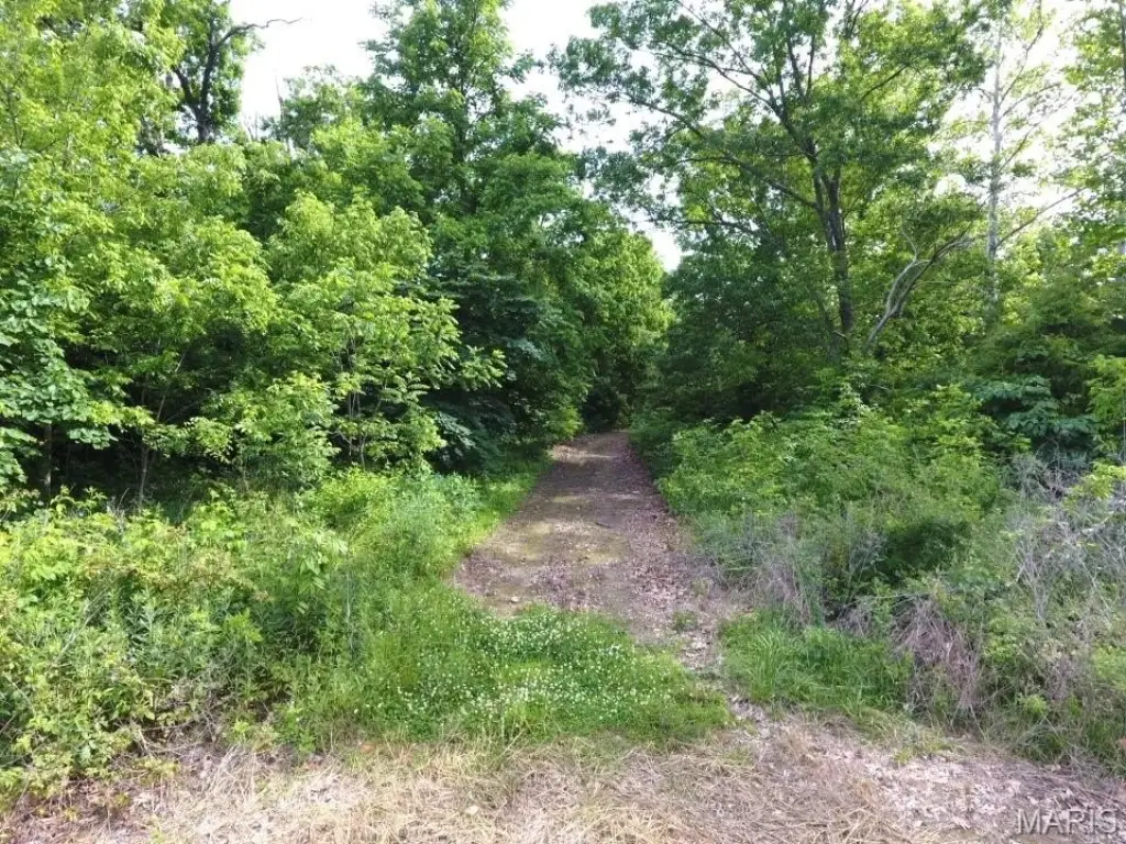 Picture 15