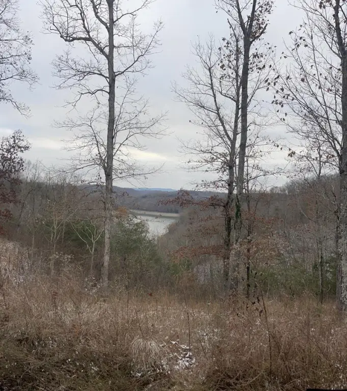 Picture 5