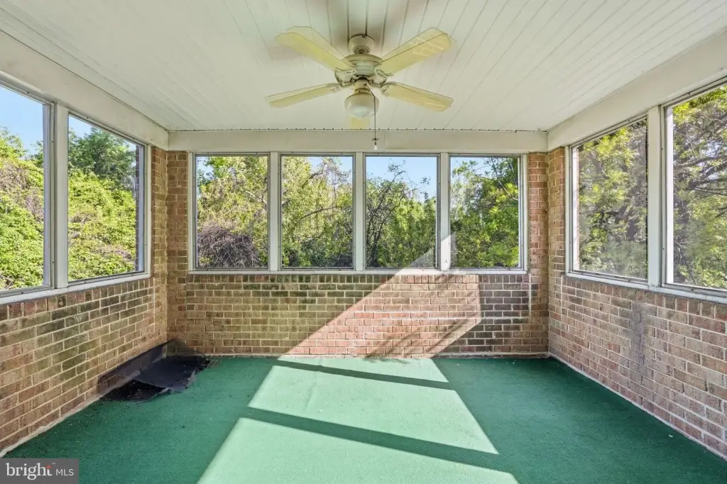 Picture 35
