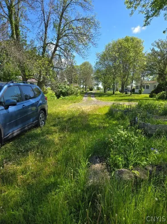 Picture 19