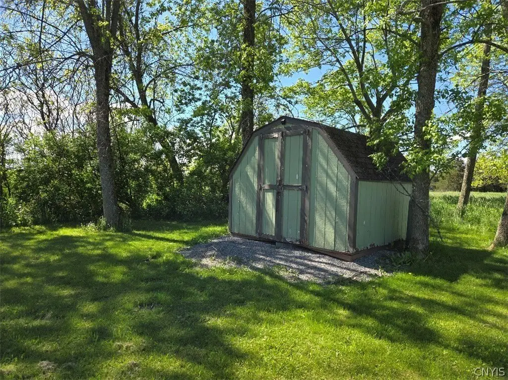 Picture 9