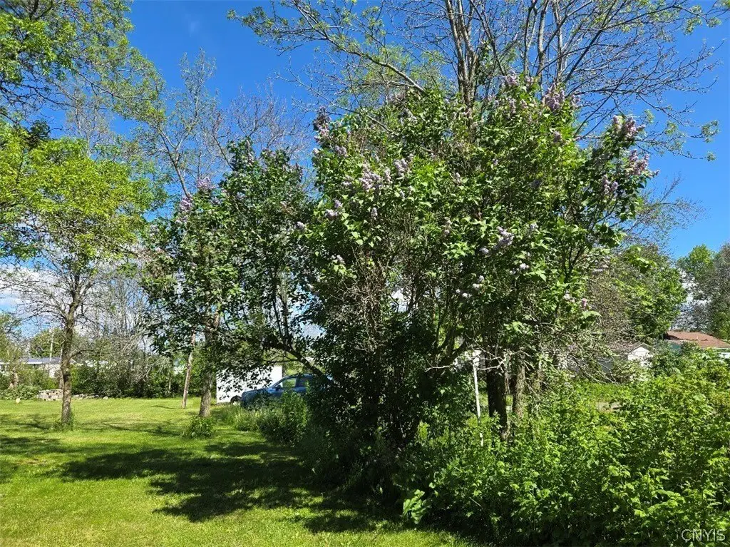Picture 13