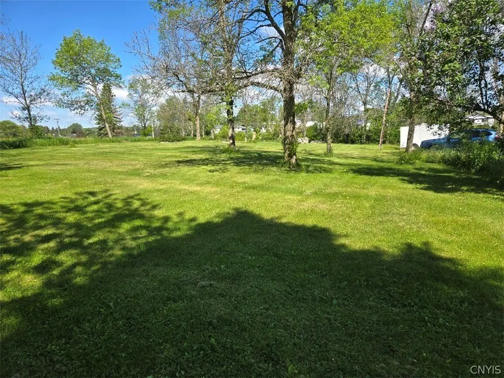 Picture 12
