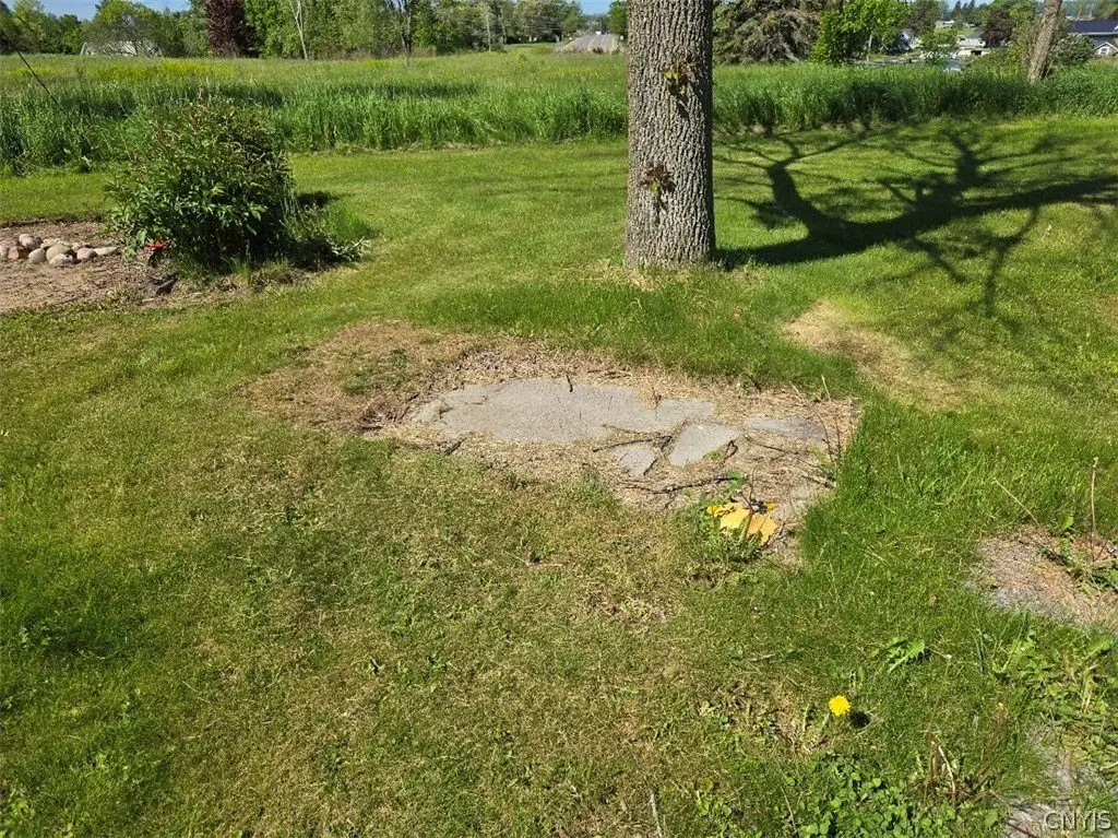 Picture 15