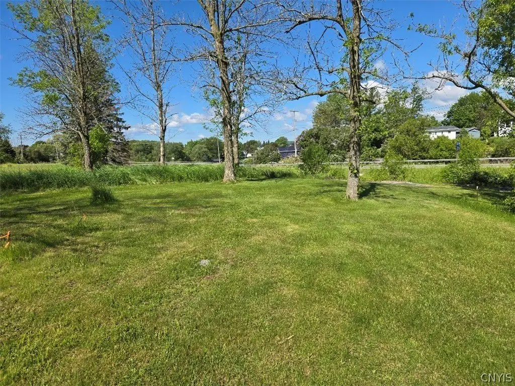 Picture 3