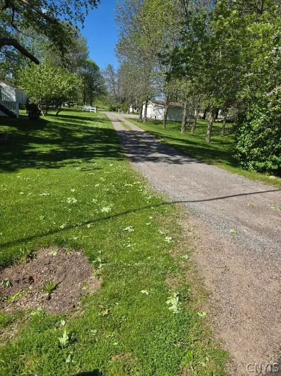 Picture 21