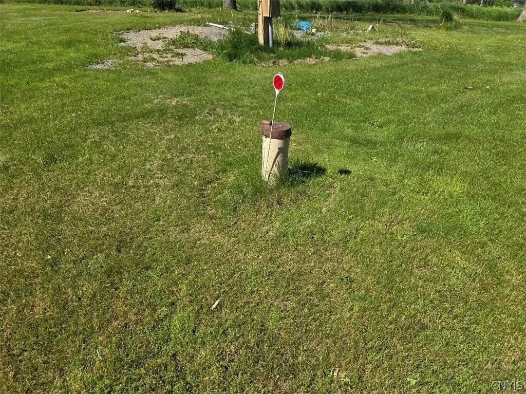 Picture 14