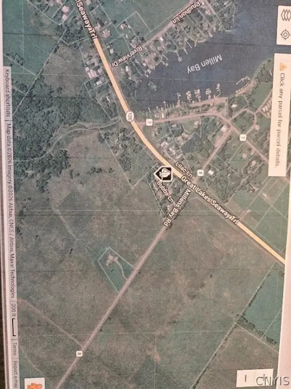 Picture 23