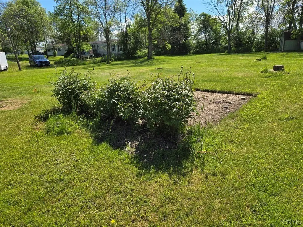 Picture 6