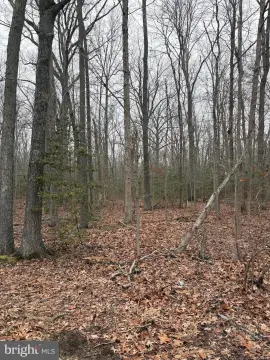 Wooded Lot in West River